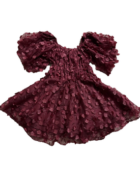 Altar’d State Floral Appliqué Mini Dress Burgundy Puff Sleeve Fit Flare SIZE L